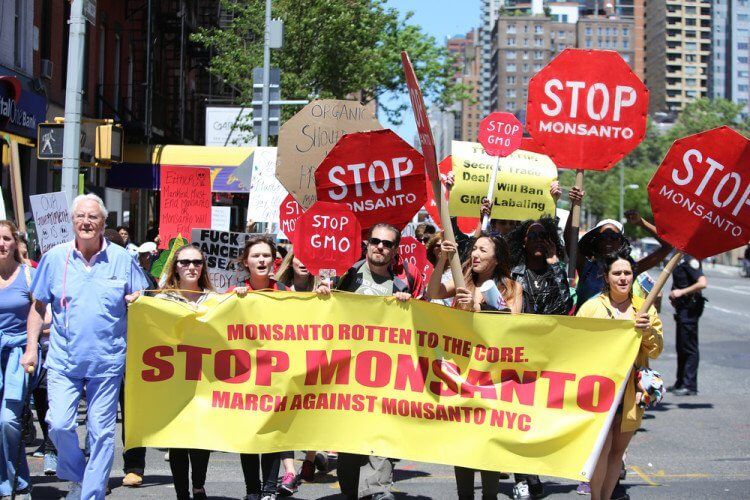 Monsanto Chute Profits Roundup 1 750x500